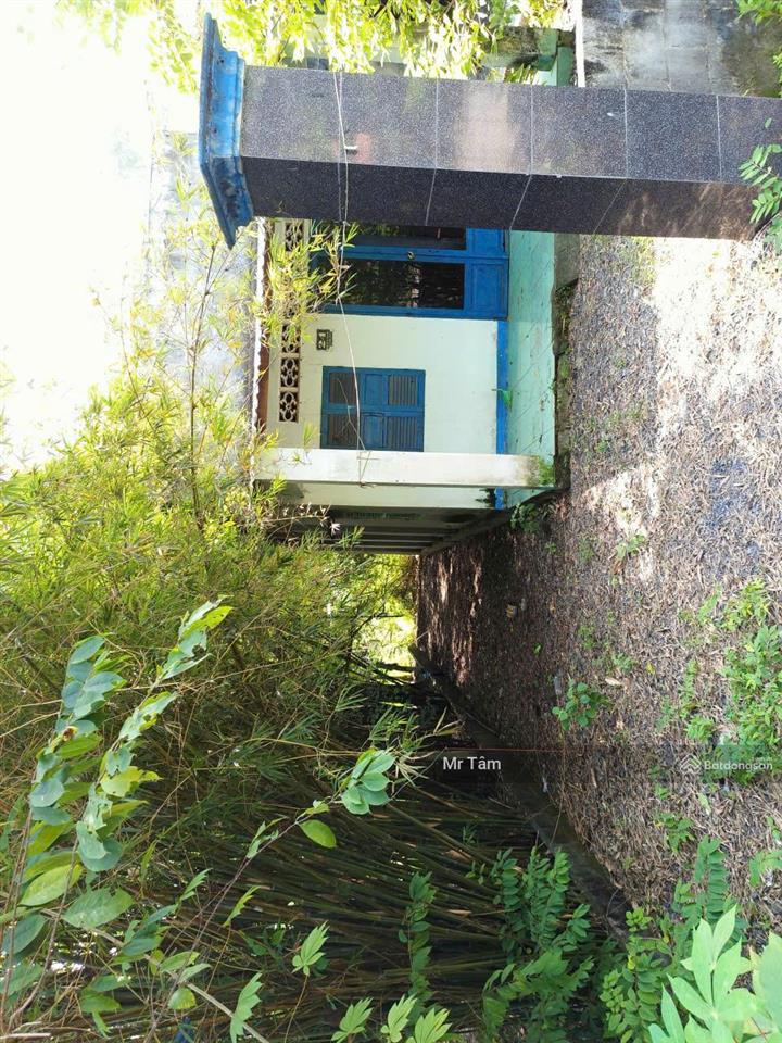 Bán lô đất mặt tiền đường nguyễn thị he, diện tích 281m2, 36m2 thổ cư, xã thái mỹ (mới).