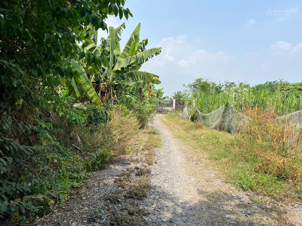 Lô đất 2 sẹc hồ văn tắng, diện tích 142,5m2 full thổ, xã tân phú trung