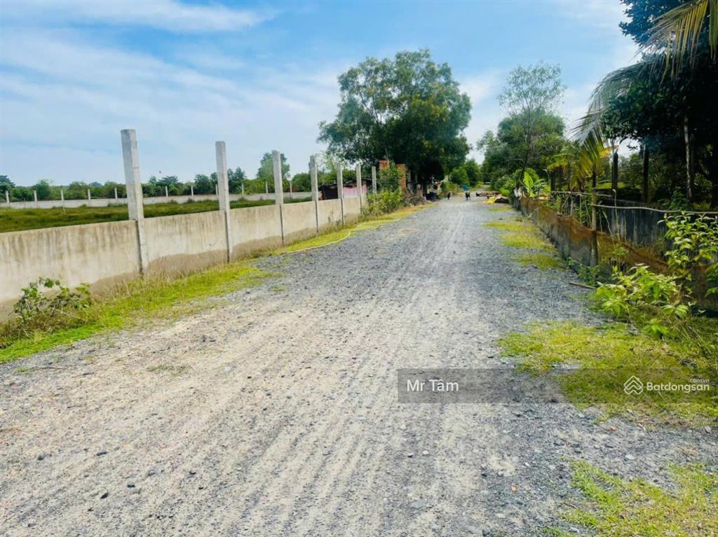 Bán lô đất đường ôtô, 1 sẹc đường cây gõ, 12,080 m2, mặt tiền 105m