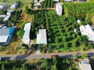 487m2 (10x48m có 100m2 thổ cư) đất tp. hcm cách chợ 200m giá chỉ nhỉnh 2 tr/m2