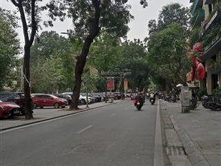Bán nhà mặt phố nguyễn đình chiểu, 6 tầng, 10 pn, mặt công viên, dt 55m2  giá 33 tỷ. hai bà trưng