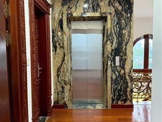 Giá mới nhỉnh 36 tỷ biệt thự vườn 5 tầng, có thang máy  gara oto siêu vip huỳnh văn bánh