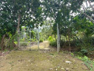 Cần bán 1ha8 đất vườn vĩnh lương đường xe ô tô bán tải giá 2tỷ330