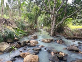 Bán đất rẫy vĩnh lương  phường bắc nha trang hơn 5ha giá 3tỷ080