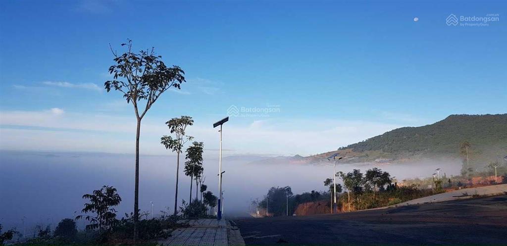 Độc quyền quỹ căn ngoại giao, kđt vạn xuân, lạc dương, lâm đồng, giá đt chỉ từ 2022tr/m2