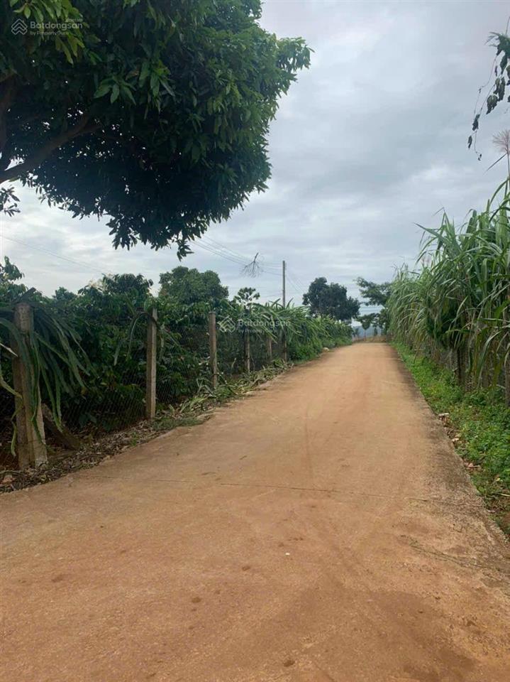 Bán nhanh 1433m2 (400m2 thổ cư) đất tà nung  đà lạt, độc quyền đẹp, rẻ nhất trên toàn thị trường