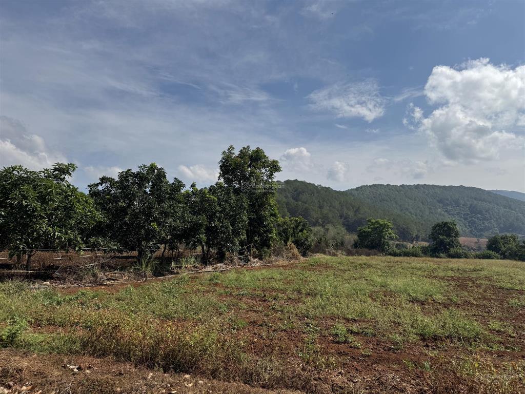 Bán nhanh 1433m2 (400m2 thổ cư) đất tà nung  đà lạt, độc quyền đẹp, rẻ nhất trên toàn thị trường