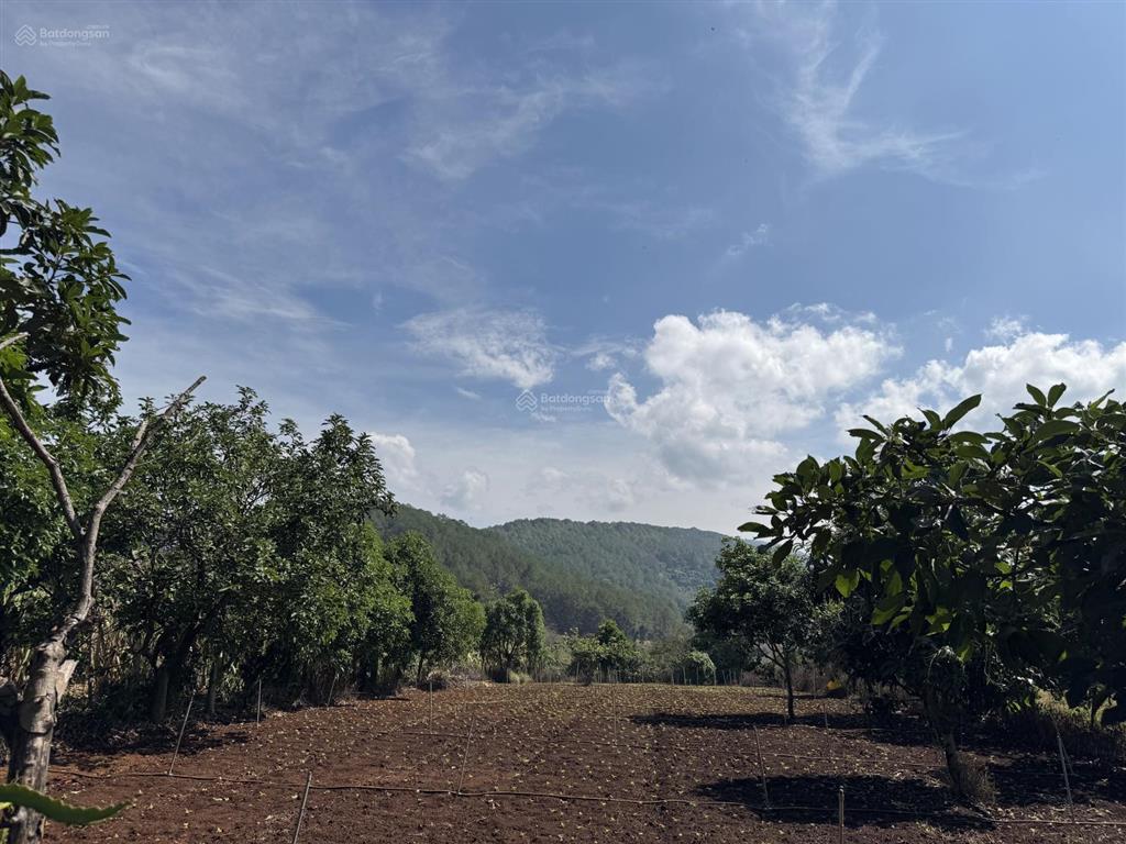 Bán nhanh 1433m2 (400m2 thổ cư) đất tà nung  đà lạt, độc quyền đẹp, rẻ nhất trên toàn thị trường