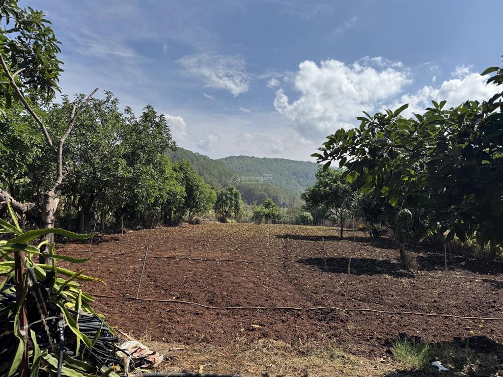 Bán nhanh 1433m2 (400m2 thổ cư) đất tà nung  đà lạt, độc quyền đẹp, rẻ nhất trên toàn thị trường
