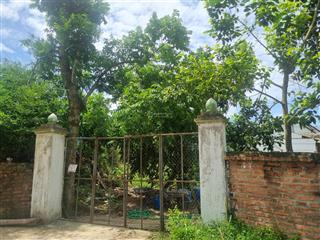 Bán đất nghỉ dưỡng tại đồng chằm đông xuân giá rẻ fo cực sốc tại vệ tinh hòa lạc