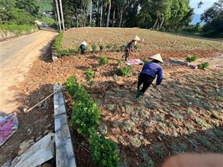 Hạ giá lô đất tại làng nghỉ dưỡng resort xanh villas đại học quốc gia mà lãi ngay trong ngày