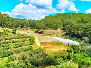 Bán đất xuân thọ, view đẹp, sổ riêng, đường ô tô cách ql20 300m