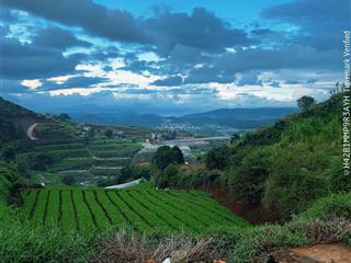 Bán đất xuân thọ, sổ riêng, 3,75 tỷ, view săn mây, cách đà lạt 10km