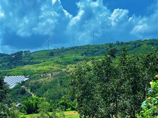 Bán ngôi nhà vườn xinh xắn, xuân trường đà lạt, view săn mây đồi chè cầu đất, có thổ cư