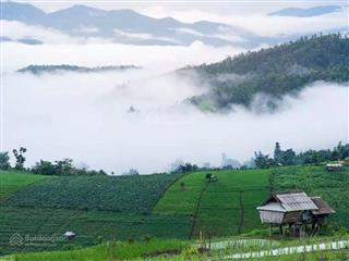 Bán đất săn mây, xuân trường, cầu đất, đà lạt, đường nhựa 5m, thổ cư, hoàn công
