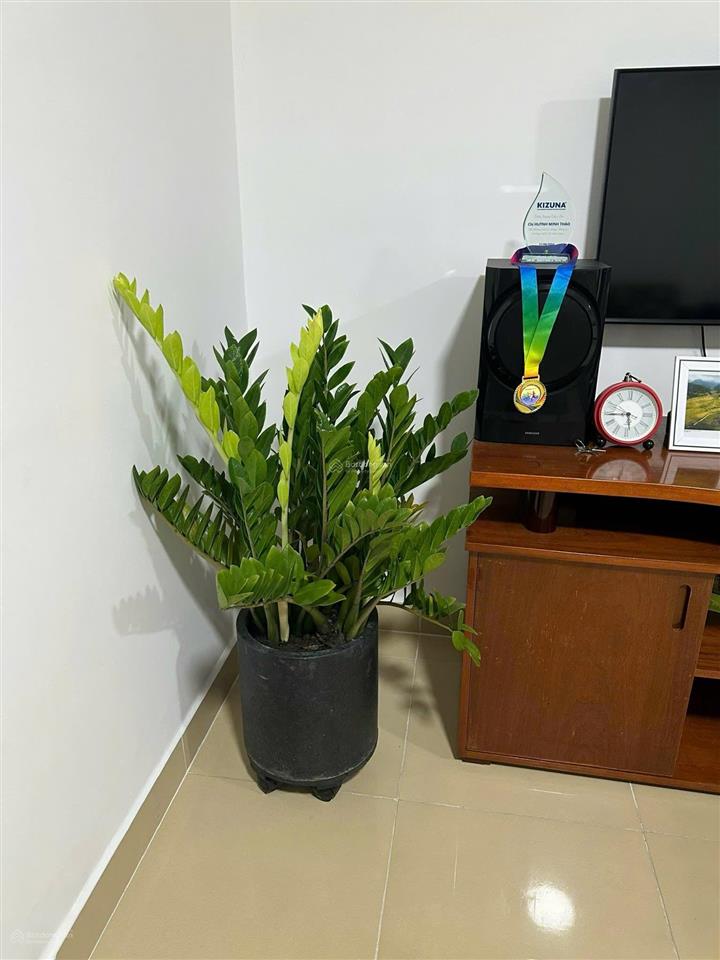 Hot căn sân vườn 107m2 full nội thấy đẹp 2pn 2wc