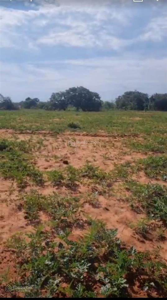 Bán đất cln phan rí thành ven biển hòa thắng 1922.8m2 giá 450tr sổ vuông có đường  0938 677 ***