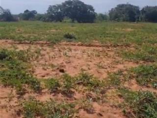 Bán đất cln phan rí thành ven biển hòa thắng 1,922.8m2 giá 453tr sổ vuông có đường  0938 677 ***