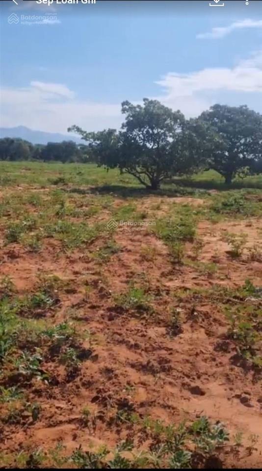 Bán đất cln phan rí thành ven biển hòa thắng 1922.8m2 giá 450tr sổ vuông có đường  0938 677 ***