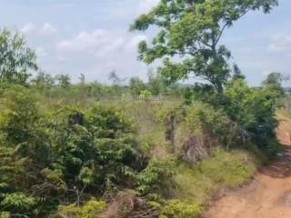 Bán 1364m2 đất vườn hồng liêm 359tr, cách ql1a 800m, mặt tiền 17m đường ô tô tận nơi  0938 677 ***