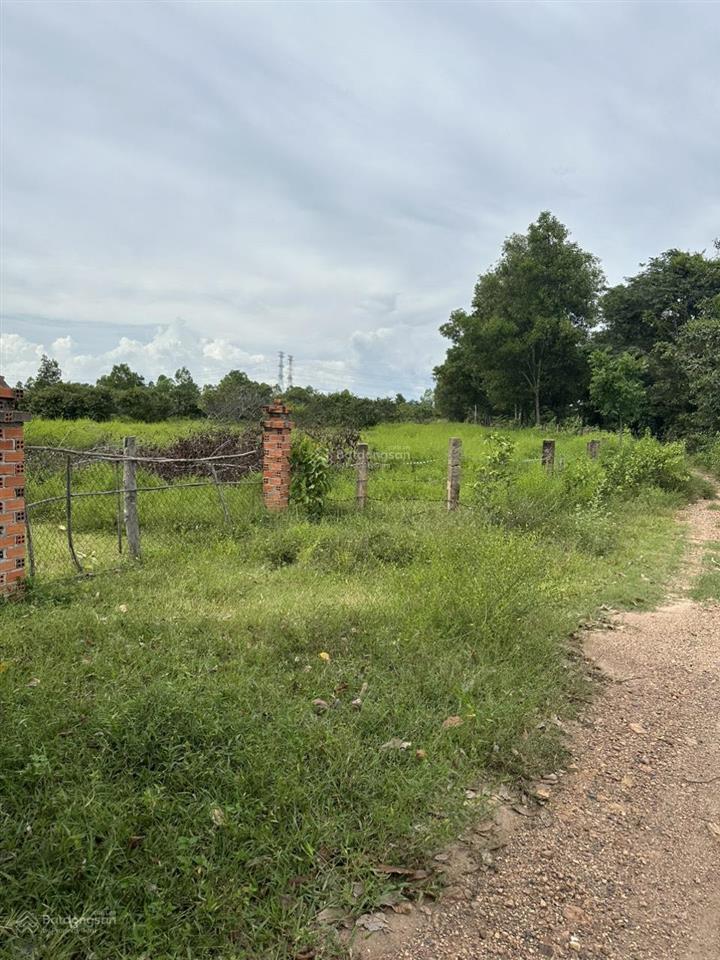 Bán 5694m2 đất cln hồng liêm, hàm thuận bắc, đường ô tô tận nơi giá 1,1 tỷ  0938 677 ***