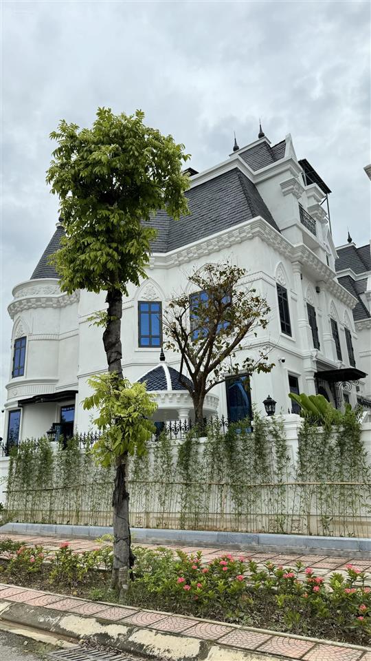 Biệt thự lâu đài 180m2, 5 tầng có hầm, sát học viện tài chính. đường 25m, vừa ở vừa kd sầm uất