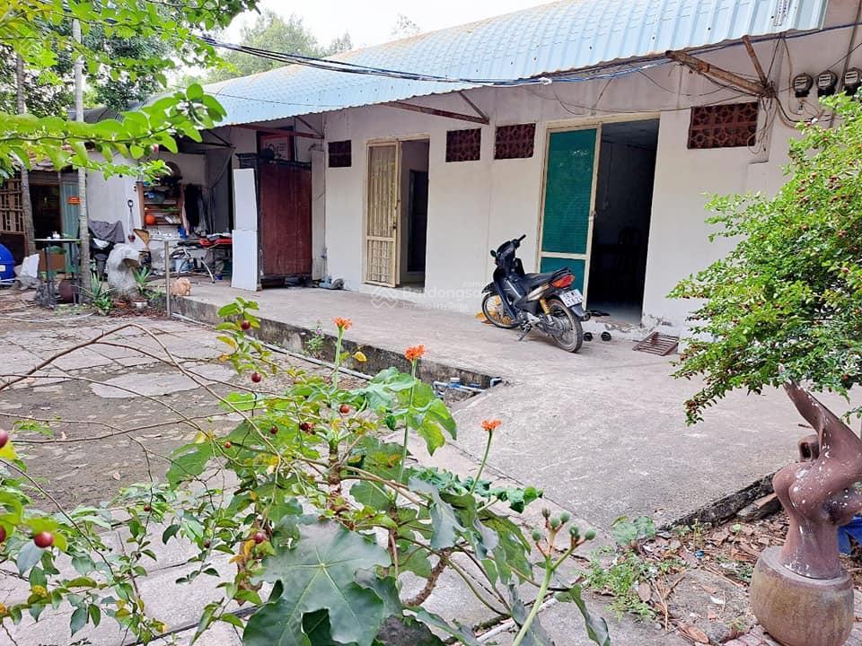 Chính chủ phòng trọ có sân vườn ql 50, bình chánh giáp ranh q8 biệt lập an ninh