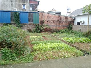 Bán đất 50m2 tại chùa thông, sơn lộc, sơn tây, hà nội, giá siêu hời 1,8 tỷ