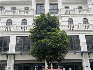 Shophouse xẻ khe tmdv 50 năm sb9a xây 98m2/sàn (5 tầng) giá 15.5 tỷ vin gia lâm (0985 941 ***)