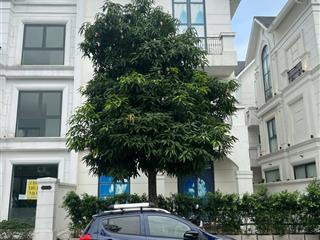 Biệt thự shophouse sổ lâu dài san hô 1 mặt hồ ngọc trai giá 41.x tỷ vin 1 gia lâm, hn (0985 941 ***)