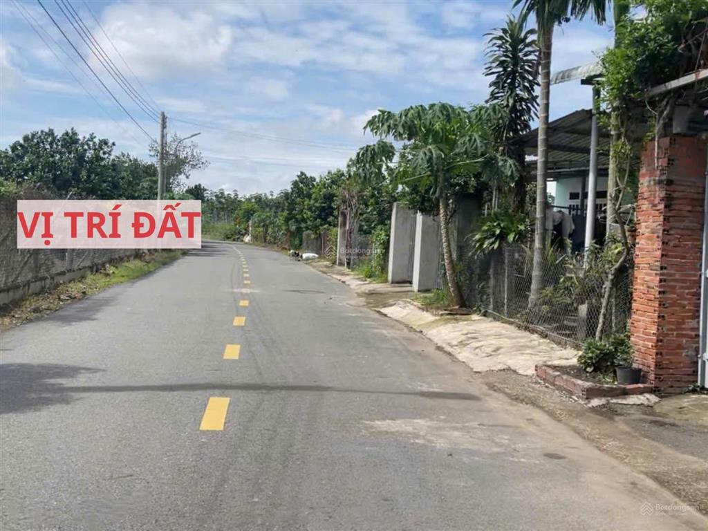 Bán đất mặt tiền đường nhựa có sẵn vườn bưởi tại trừ văn thố, bàu bàng, bình dương