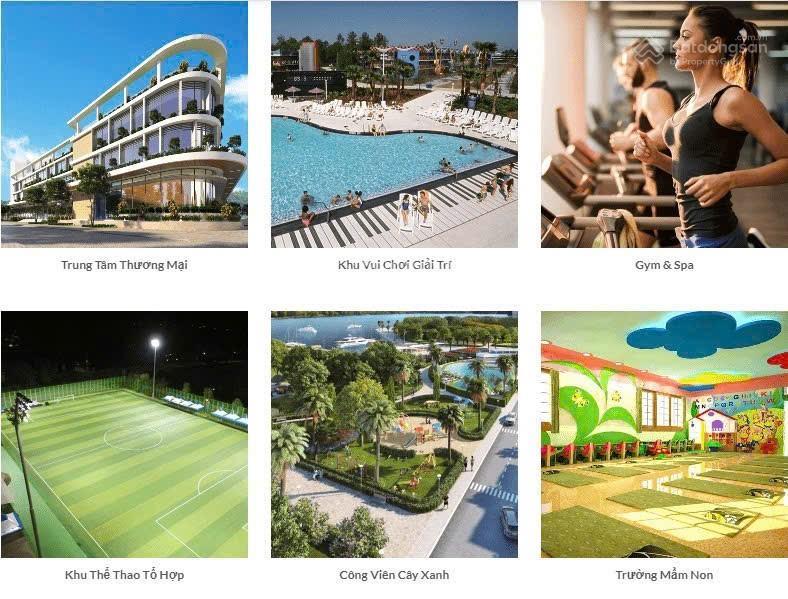 Nhỉnh 4 tỷ/ 80m2,mt 6m, đg 8m,đất đấu giá bạch đa, kim hoa, ml, sổ đỏ cc sang tên ngay, ngô miễn kd