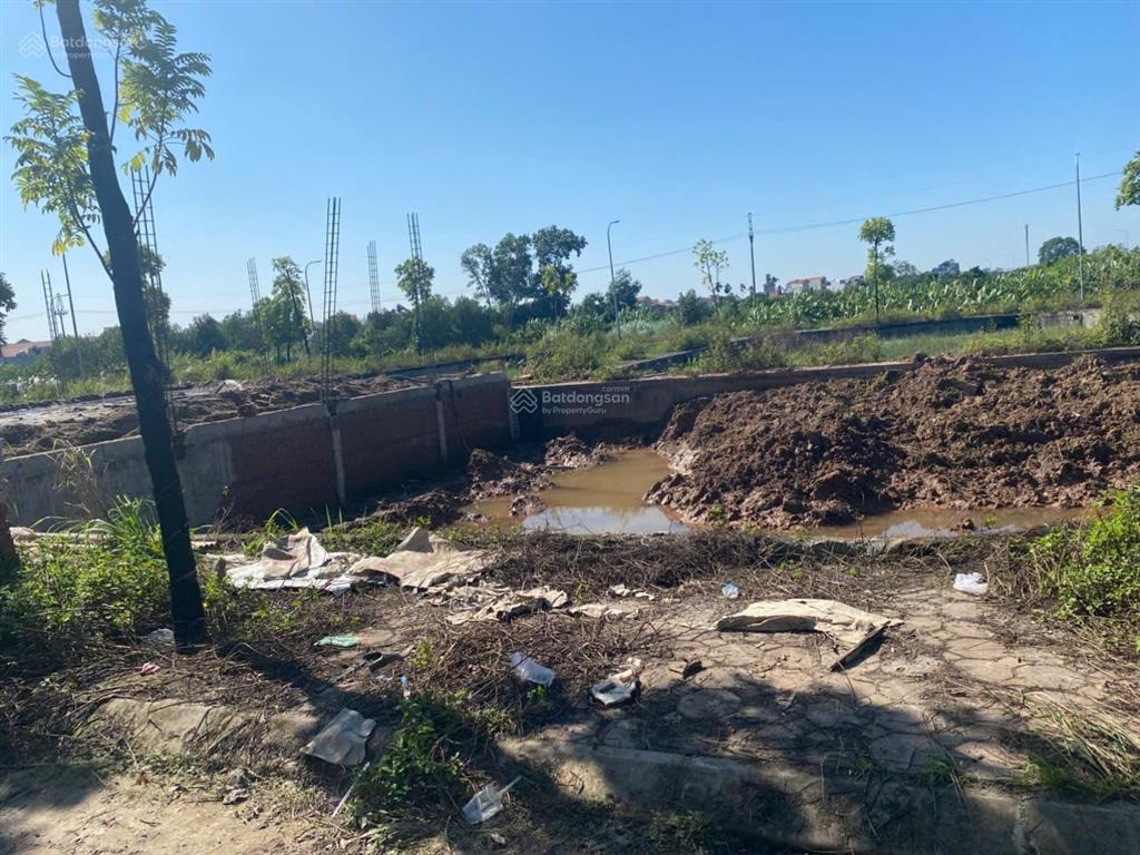 Chính chủ cần bán đất đấu giá mặt đường n1, hạ mỗ, đan phượng giá mềm nhất thị trường 9. tiểu học