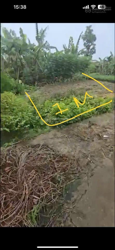 Chính chủ bán đất gần sân bay gia bình  bắc ninh. ô tô đỗ cửa dt 133m2 mt=h=7m giá 1,6 tỷ