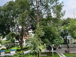 Hàng thơm, cách quốc lộ 13 chỉ 100m, trong kdc lộc vừng, p. hiệp bình phước, q. thủ đức