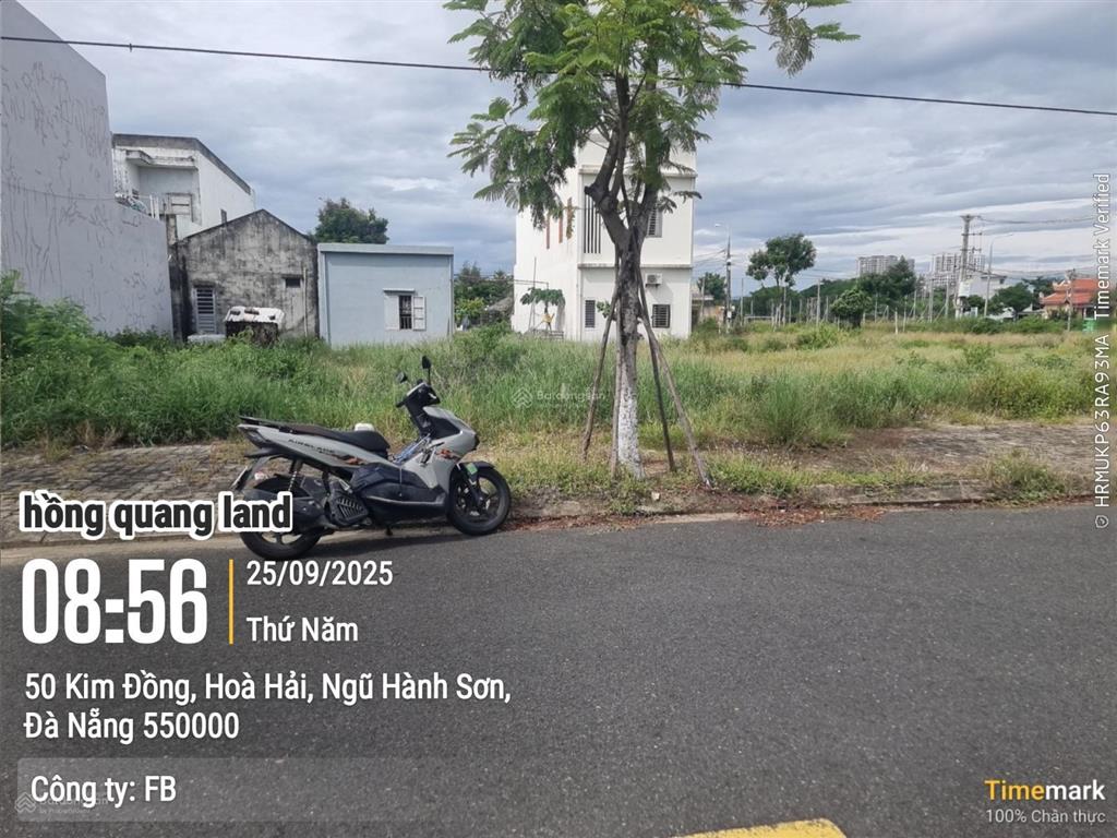 Đất biển tân trà, đường kim đồng