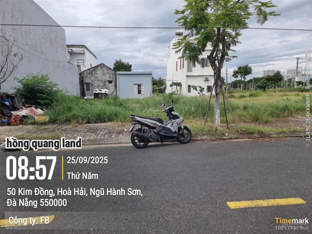 Đất biển tân trà, đường kim đồng
