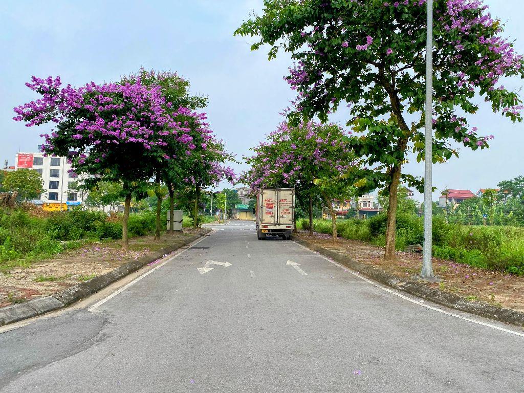 HIẾM - ĐẤT TĐC KIM SƠN 80M2 ĐƯỜNG 8M, KD, PHÂN LÔ, VỈA HÈ - GIÁ CHÍNH CHỦ