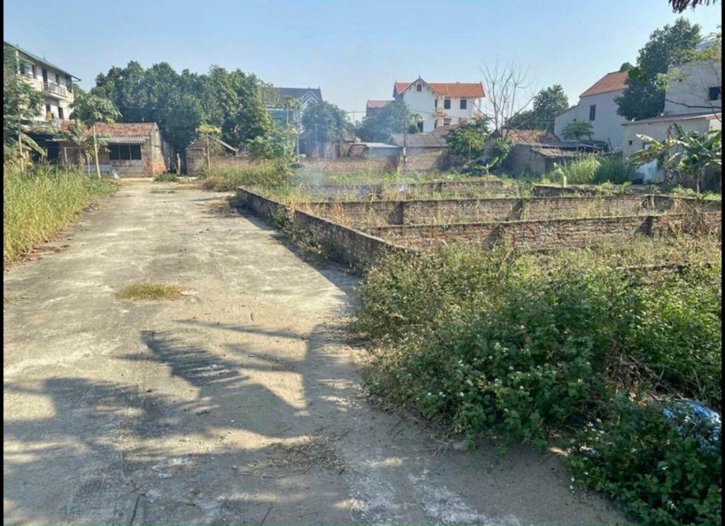 Á HẬU - ĐẤT ĐẤU GIÁ CHI ĐÔNG 75M2 MT 5M ĐƯỜNG 5M THÔNG - GIÁ 3TỶ x