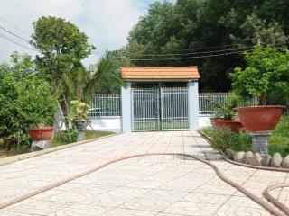 Bán vườn bười và nhà cấp 4 đường xe tải gần ủy ban bình lợi, vĩnh cửu, 6600m2 giá chỉ 8 tỷ 500.