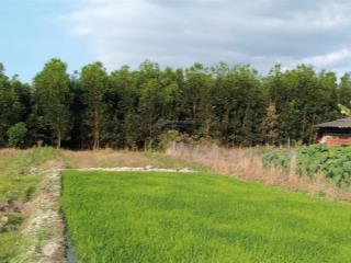 Bán gấp 2050m2 đất sát khu dân cư, khu công nghiệp, ubnd xã xuân tâm  xuân lộc, đồng nai
