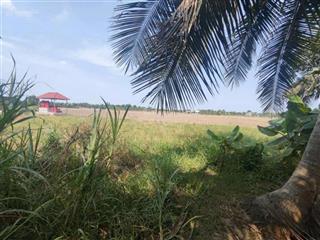 Bán miếng đất rộng 1.900 m² tại xã tân nhựt, bình chánh, tiềm năng đầu tư lớn