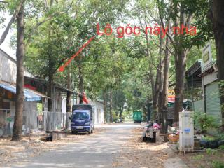 Em có lô góc liền kề ql13 hcm cần bán   cc 0988 400 ***