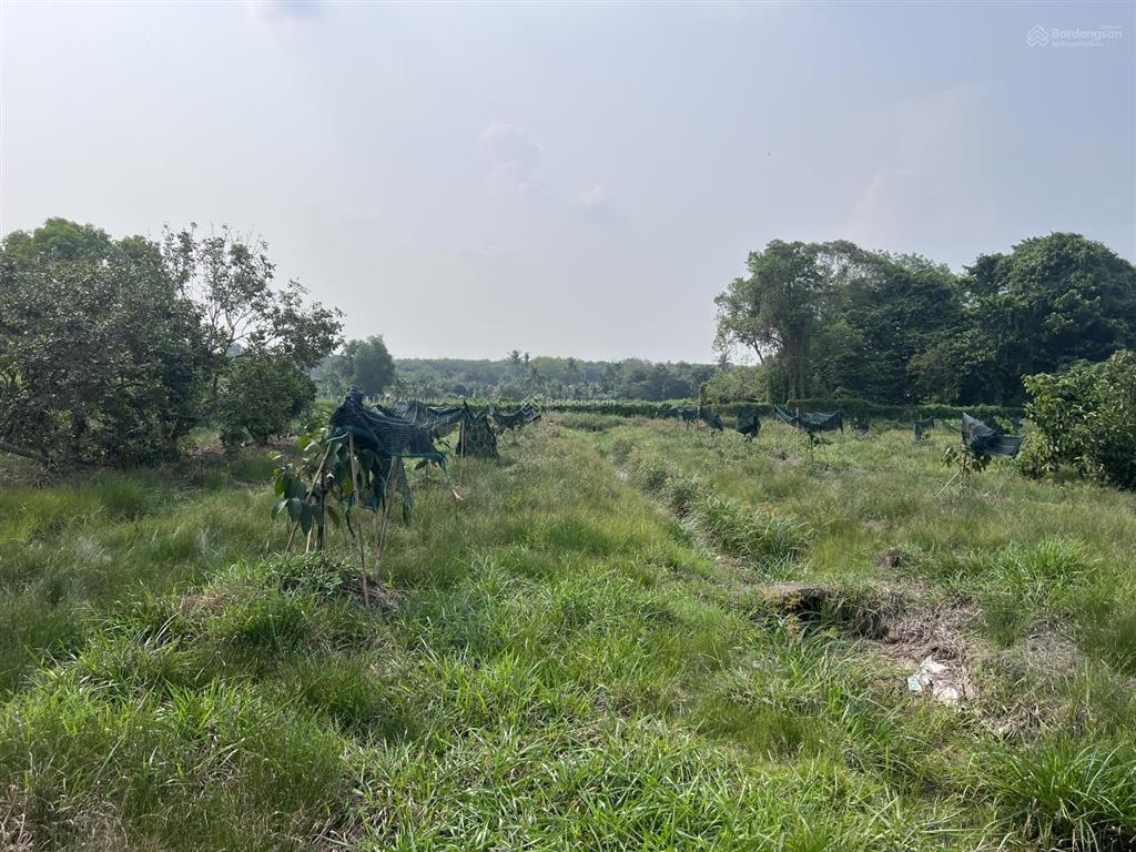 Bán đất nền 3500m2 tại nhuận đức, củ chi, hồ chí minh, giá siêu hời 9,5 tỷ