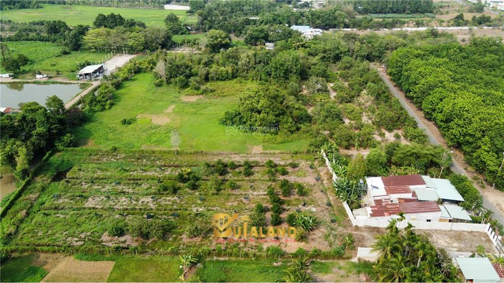 Bán đất nền 3500m2 tại nhuận đức, củ chi, hồ chí minh, giá siêu hời 9,5 tỷ