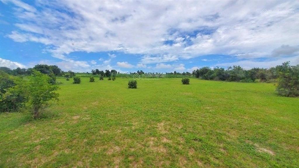 Chủ cần bán lô hồng thái 13.564m2 giá 1.24 tỷ gân kdl bàu trắng sổ sẵn mua sang tên công chứng ngay