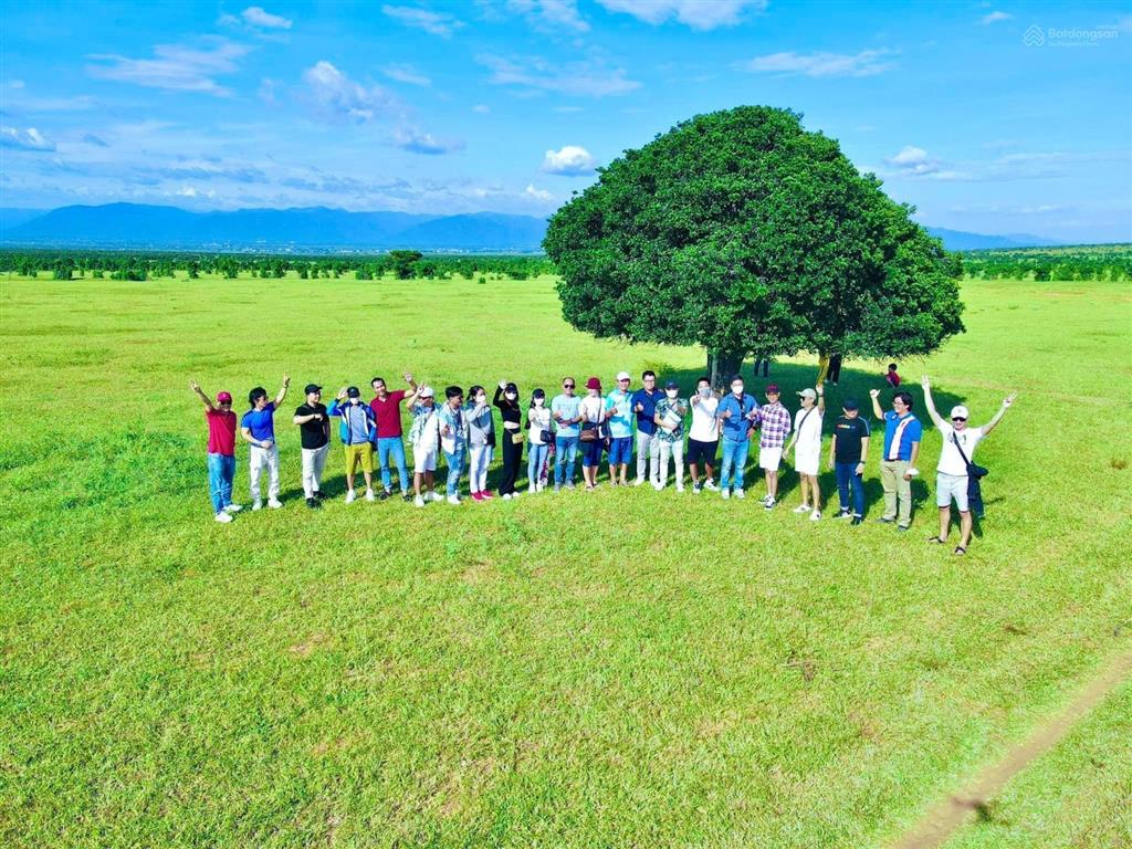 Chủ cần bán lô hồng thái 13.564m2 giá 1.24 tỷ gân kdl bàu trắng sổ sẵn mua sang tên công chứng ngay