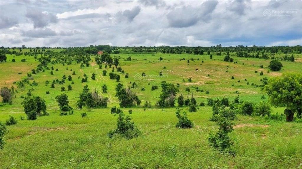 Chủ cần bán lô hồng thái 13.564m2 giá 1.24 tỷ gân kdl bàu trắng sổ sẵn mua sang tên công chứng ngay