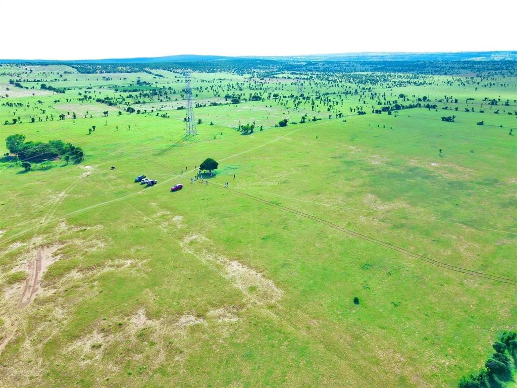 Chủ cần bán lô hồng thái 13.564m2 giá 1.24 tỷ gân kdl bàu trắng sổ sẵn mua sang tên công chứng ngay