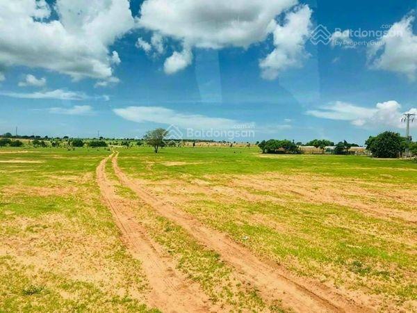 Chủ cần bán lô hồng thái 13.564m2 giá 1.24 tỷ gân kdl bàu trắng sổ sẵn mua sang tên công chứng ngay